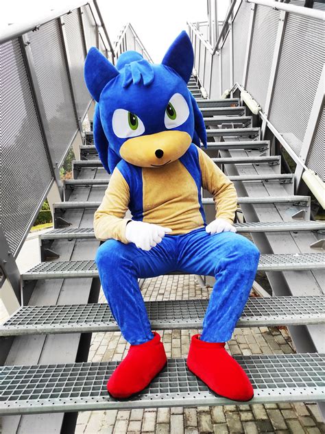Sonic mascot suit for sale